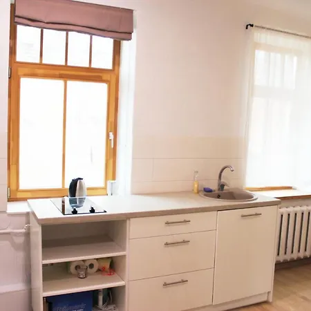 شقة Studio In The Centre Of ريغا